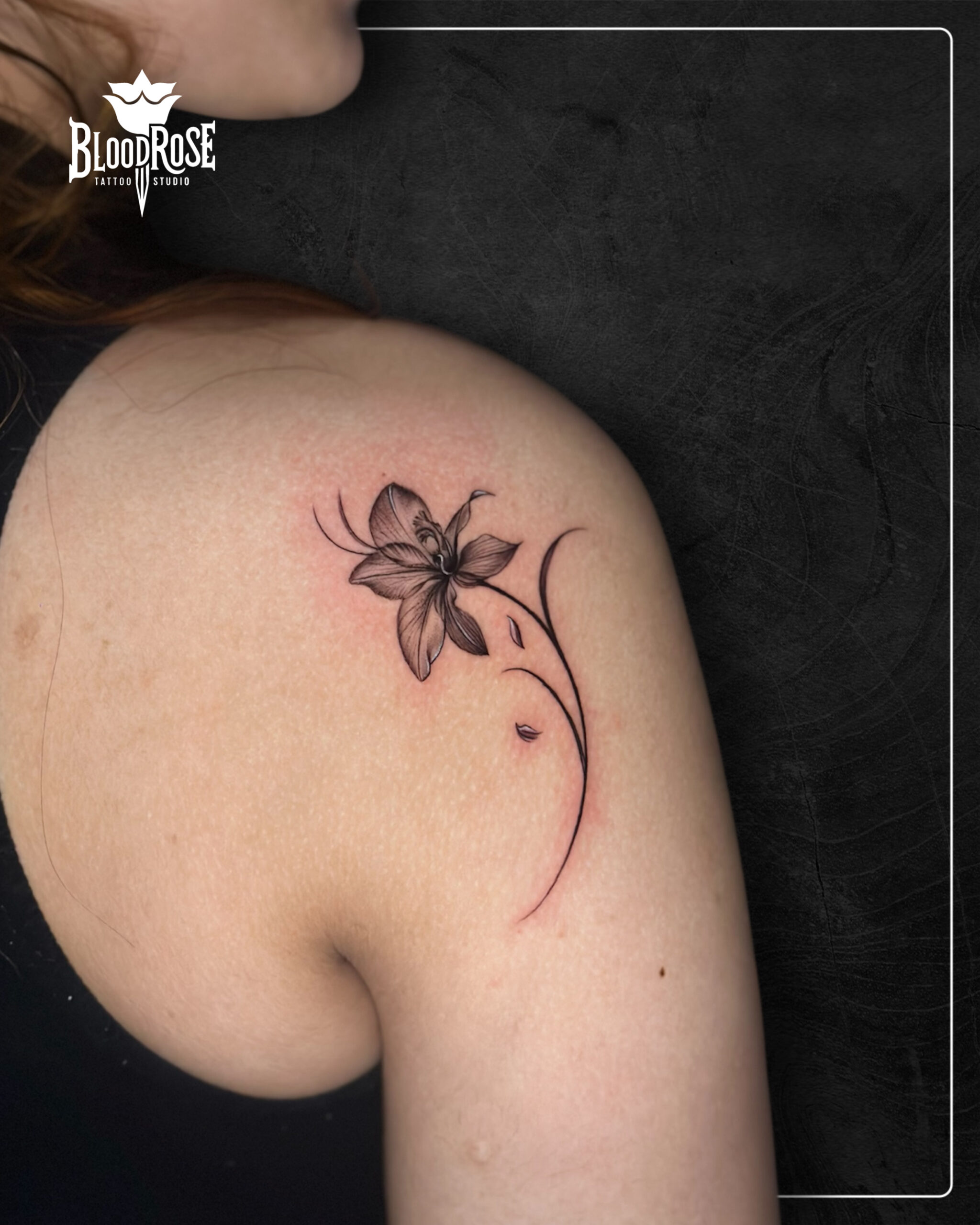 1B7EE1DE-2A84-4446-ADEE-E9E122D8C280