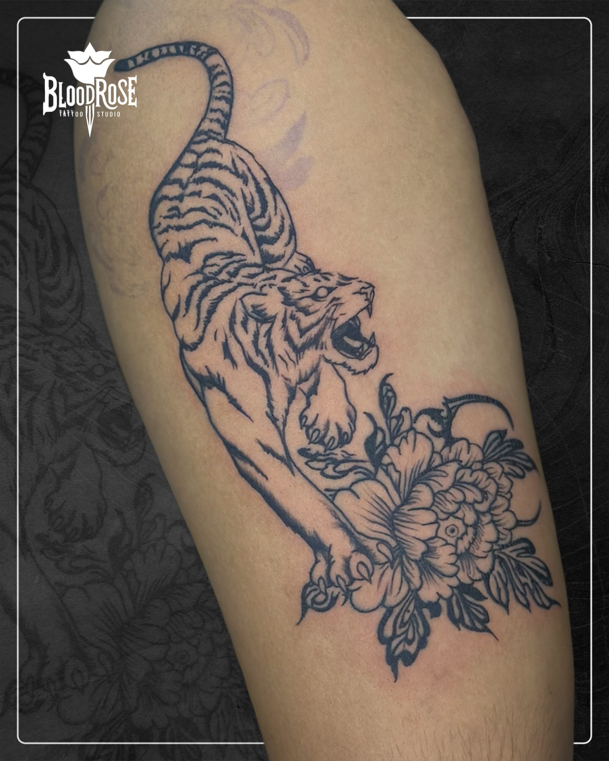 376BFC77-ECA2-4279-8C71-5D3249A7919D