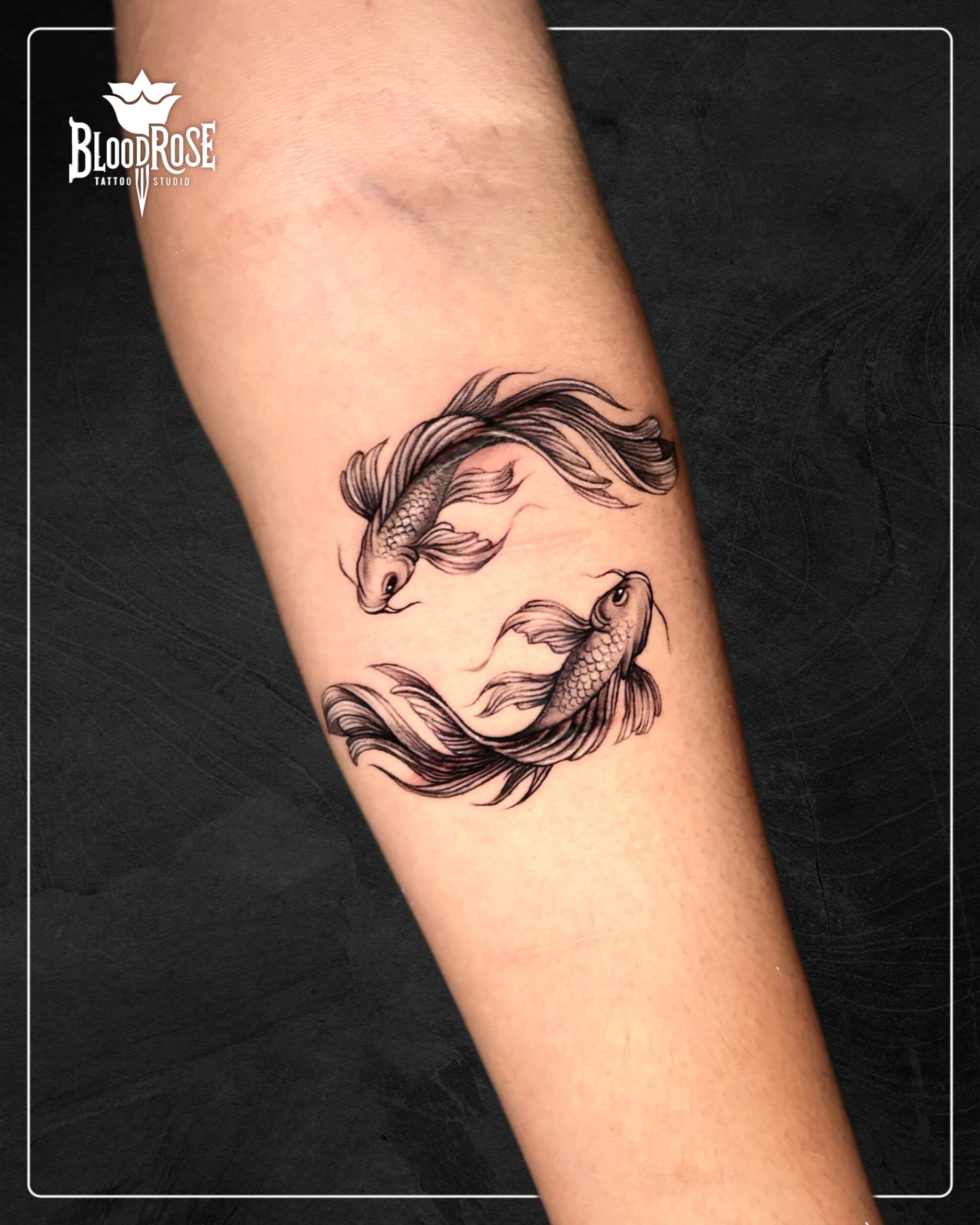 5B0EB2CF-E7C6-4F19-AB10-5ED205B3E252