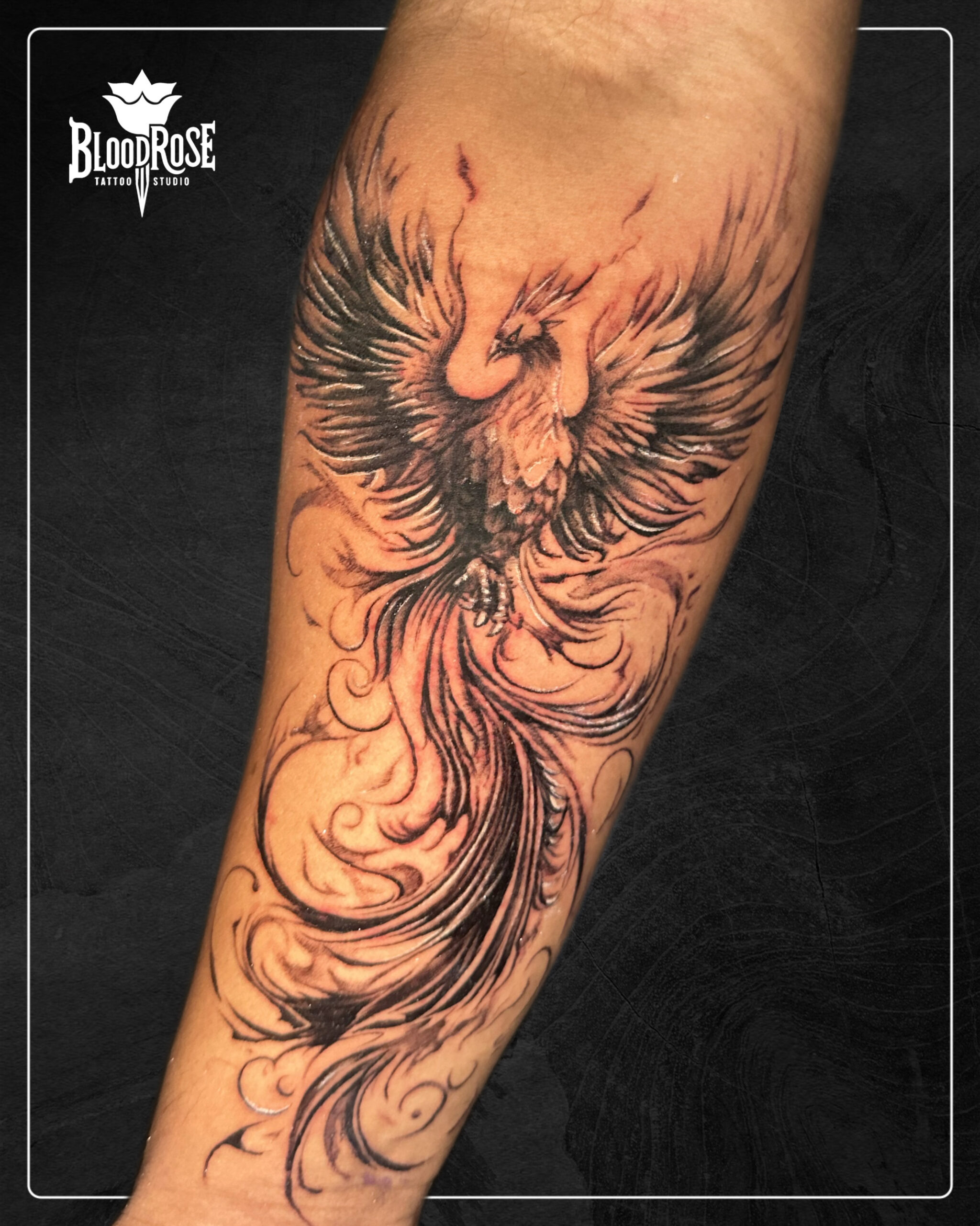 75EE0188-134C-4926-9777-95CE39F14532