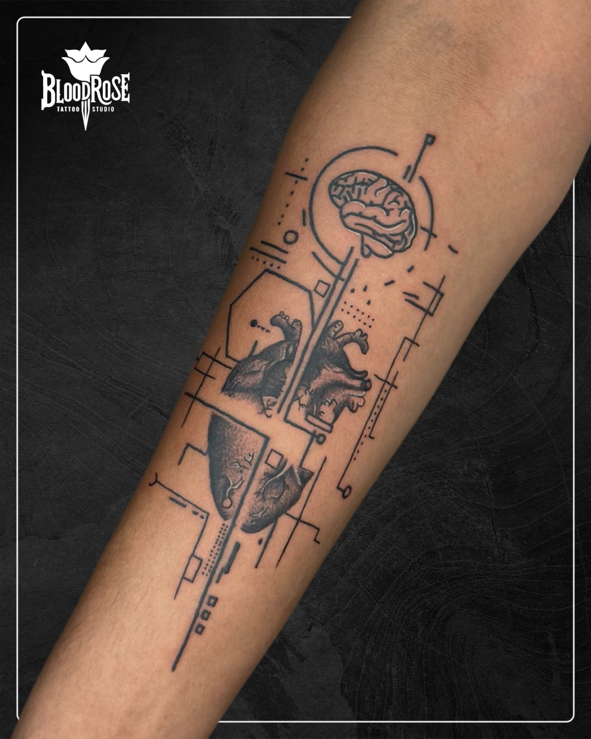 AB376C82-7FAE-4D9F-8104-E4662D918867