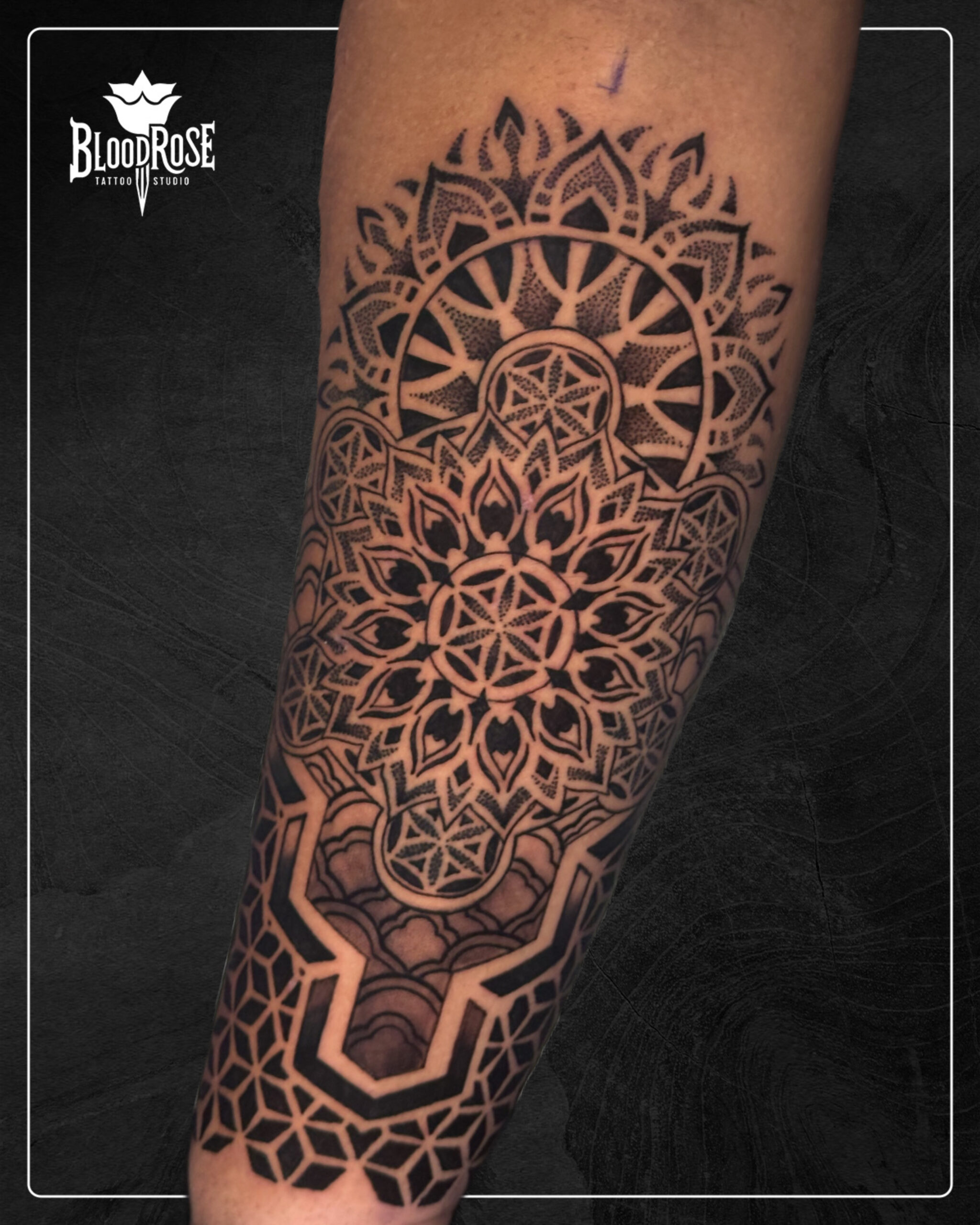 EA1EE72F-AD97-4473-9AB0-014E94E396E7